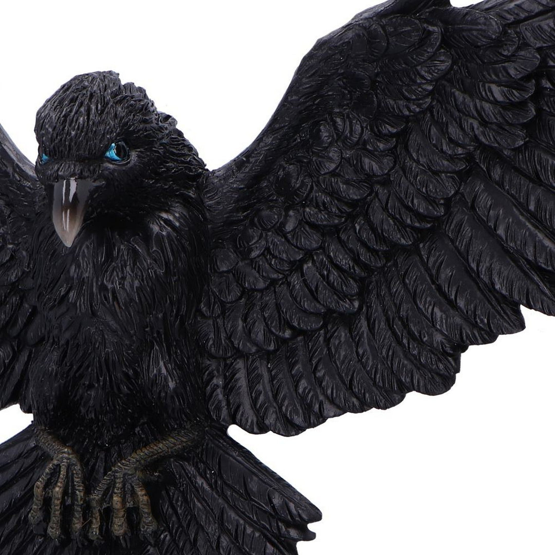 Flight of the Raven Wall Hanging Decoration U7043M25