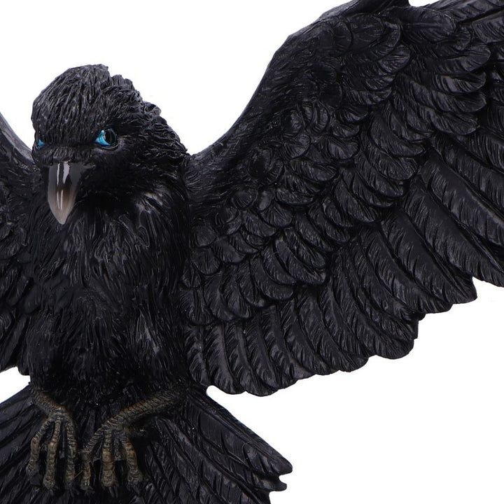 Flight of the Raven Wall Hanging Decoration U7043M25