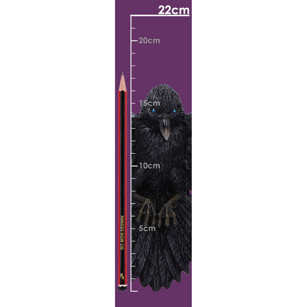 Flight of the Raven Wall Hanging Decoration U7043M25