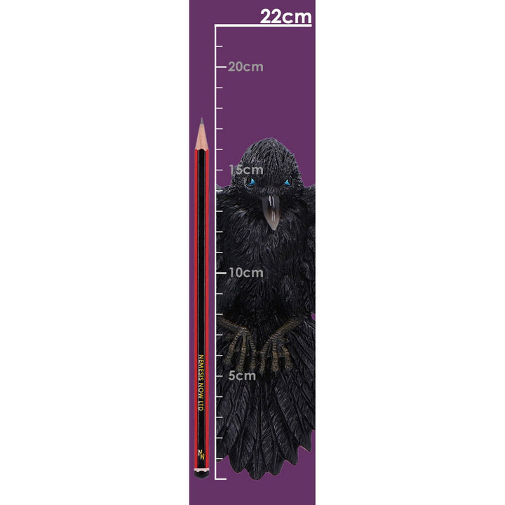 Flight of the Raven Wall Hanging Decoration U7043M25