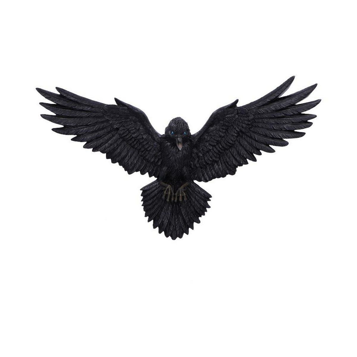 Flight of the Raven Wall Hanging Decoration U7043M25