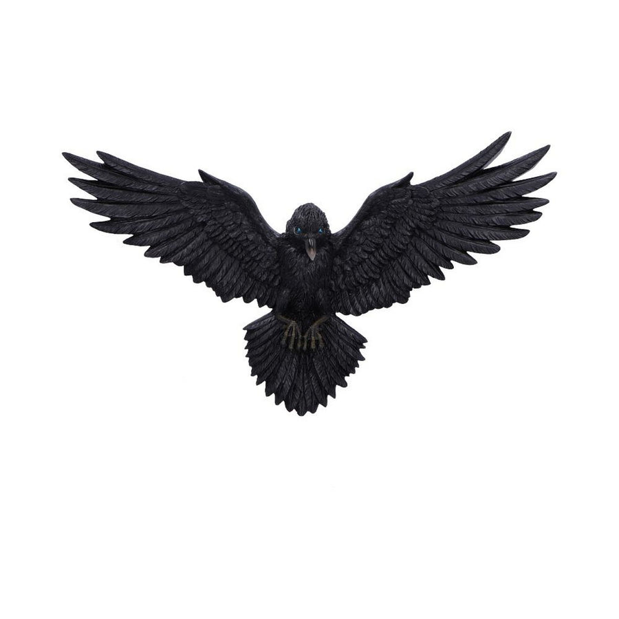 Flight of the Raven Wall Hanging Decoration U7043M25