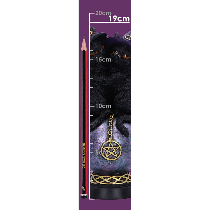 Kittens Orbuculum Witches Cat Ornament U7047M25