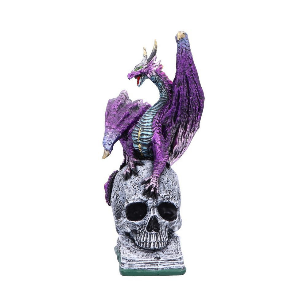 Titans Reign Resin Dragon Figurine U7065B25