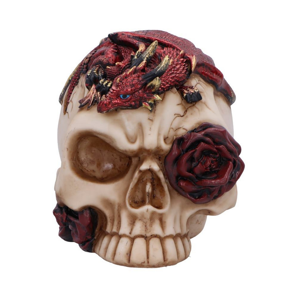 Rose Flame Decorative Skull With Sleeping Dragon U7070B25