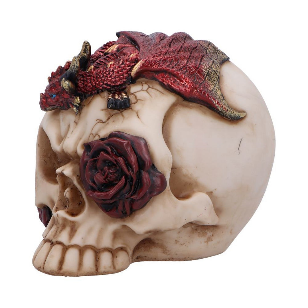 Rose Flame Decorative Skull With Sleeping Dragon U7070B25