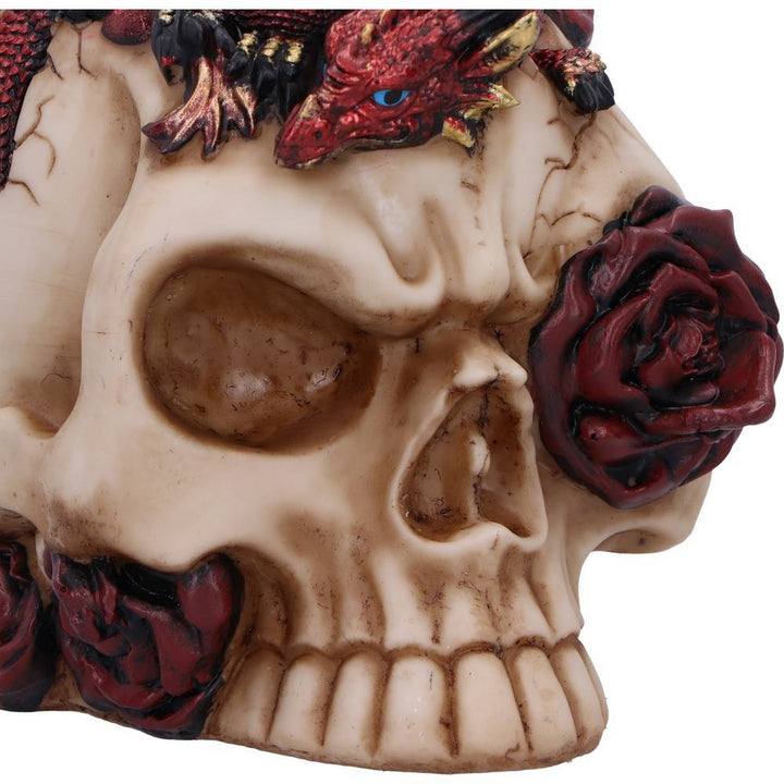 Rose Flame Decorative Skull With Sleeping Dragon U7070B25