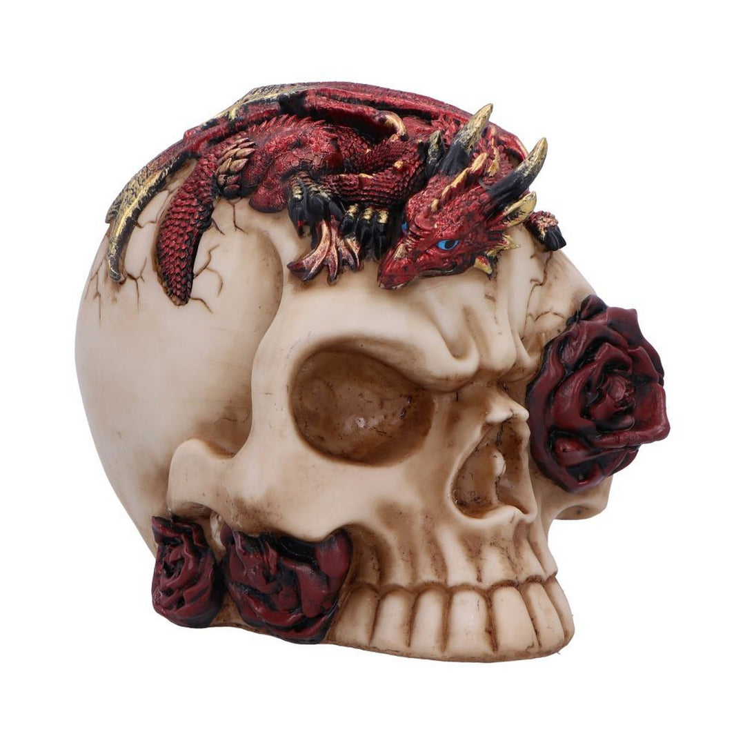 Rose Flame Decorative Skull With Sleeping Dragon U7070B25