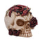 Rose Flame Decorative Skull With Sleeping Dragon U7070B25