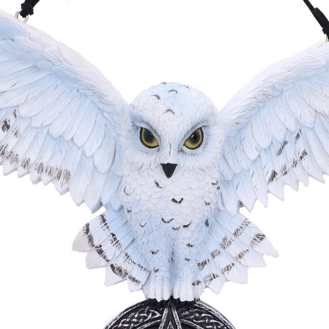 Owl Talisman Hanging Decoration U7109B25