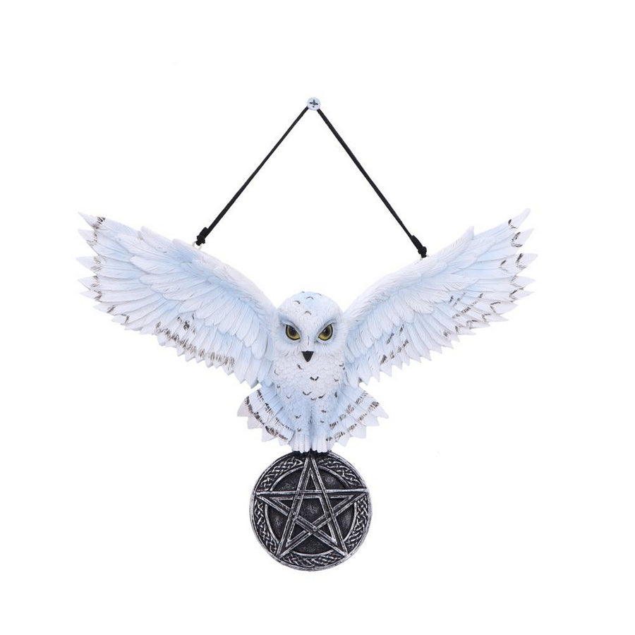 Owl Talisman Hanging Decoration U7109B25