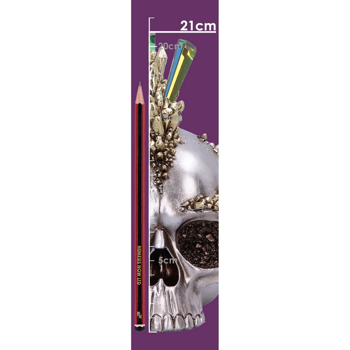 Chromatic Crystal Skull 21cm U7121C25