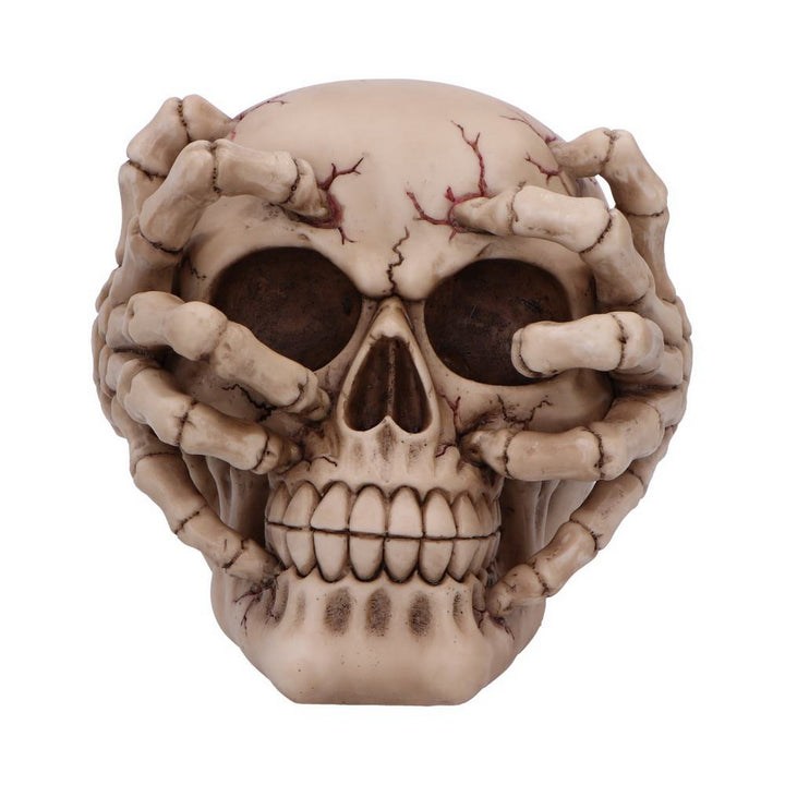Cracked Decorative Resin Skull U7129B25