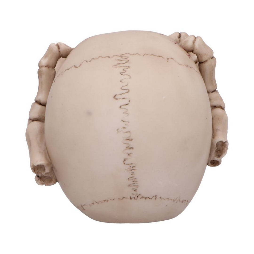 Cracked Decorative Resin Skull U7129B25