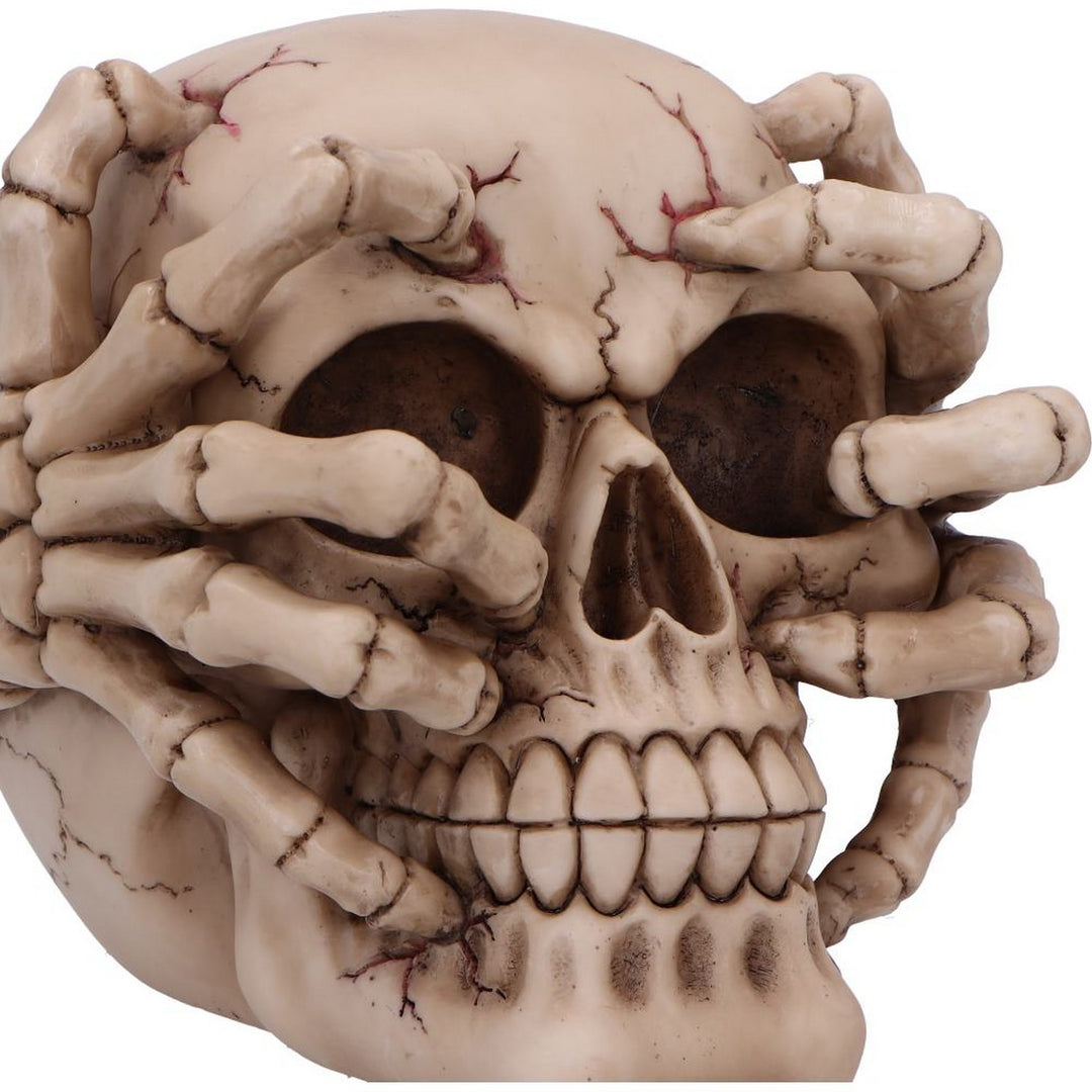 Cracked Decorative Resin Skull U7129B25