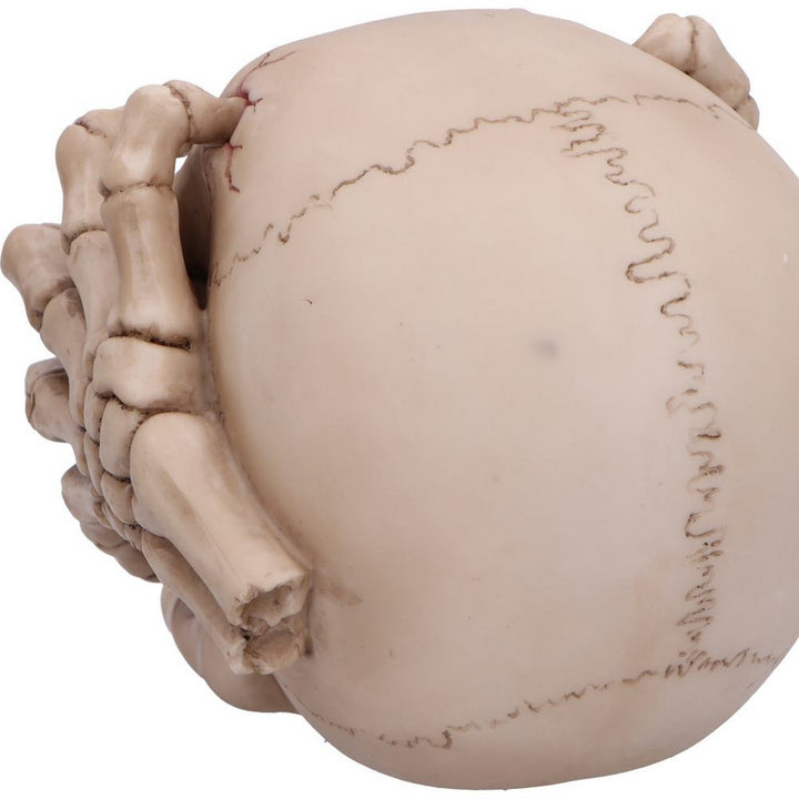Cracked Decorative Resin Skull U7129B25
