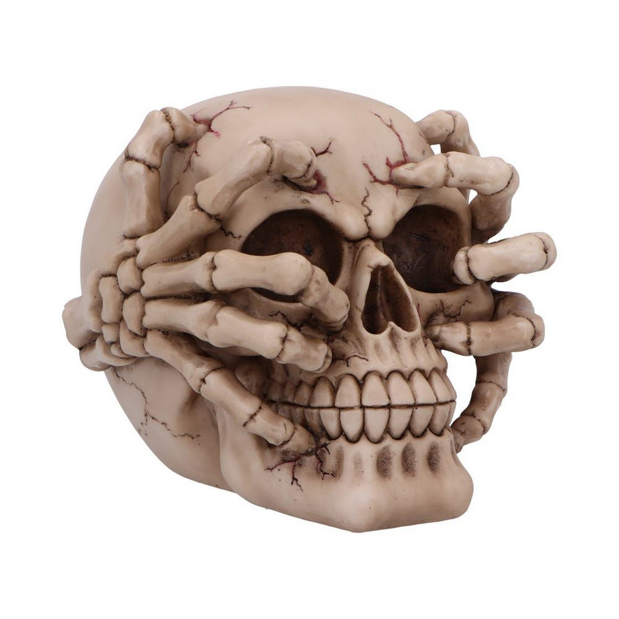 Cracked Decorative Resin Skull U7129B25