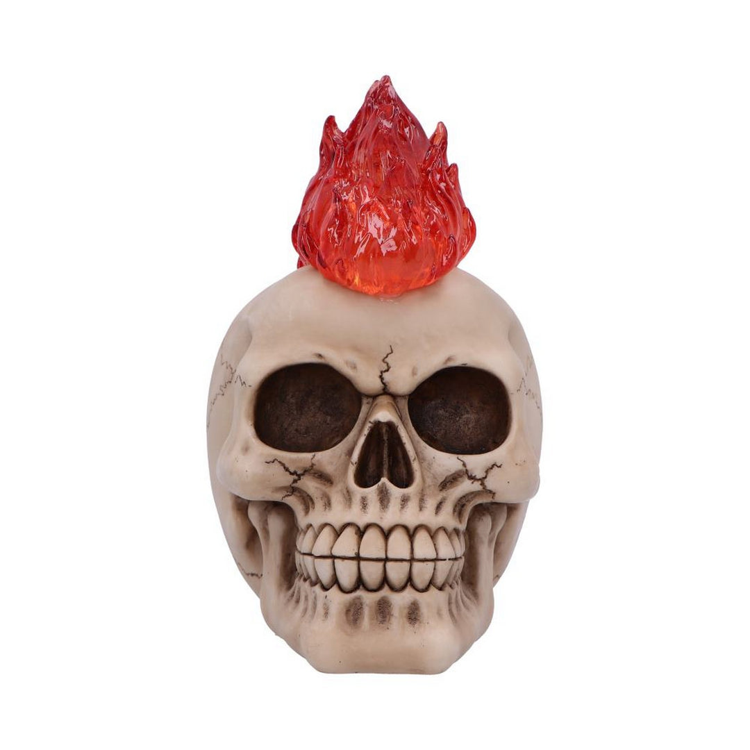 Hot-Headed Decorative Resin Skull U7131B25