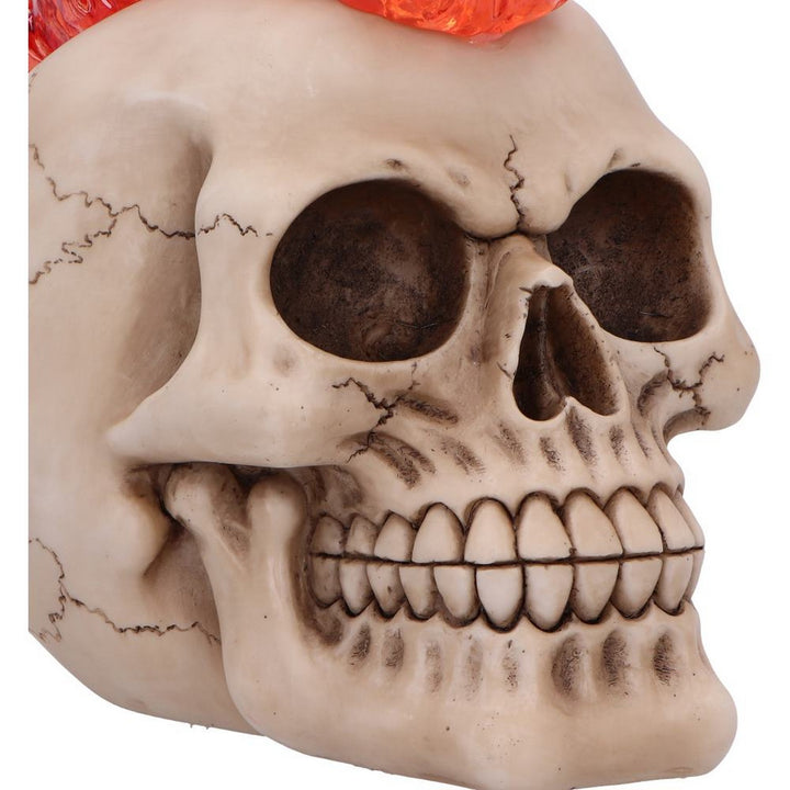 Hot-Headed Decorative Resin Skull U7131B25