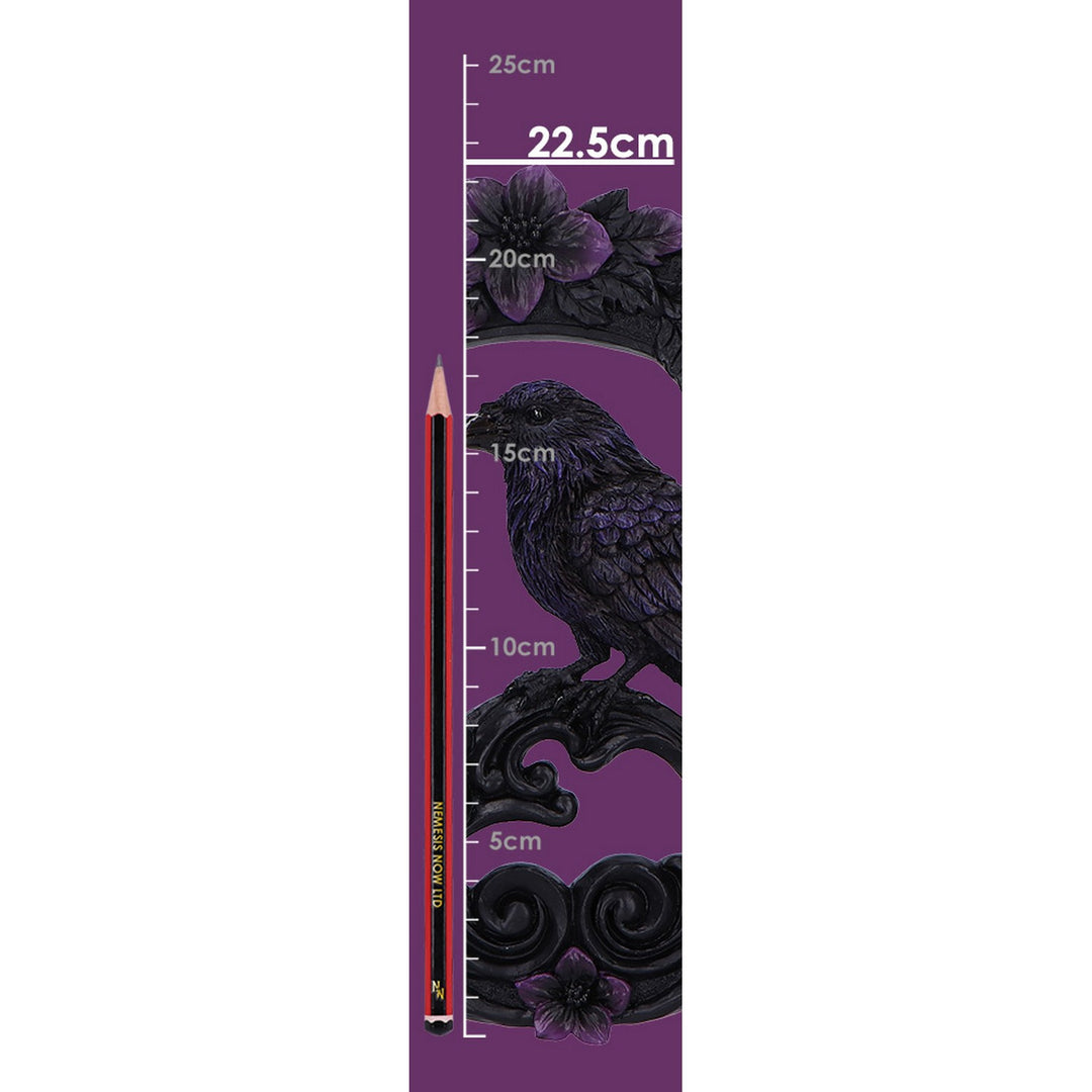 Watcher of the Veil Raven Wall Hanger U7213C25