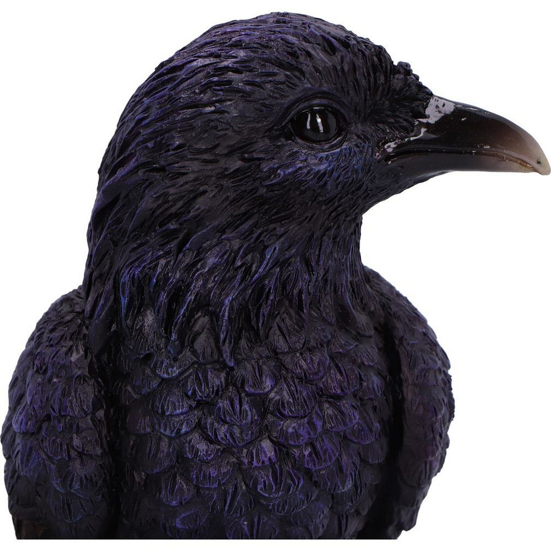 Raven Roost Backflow Incense Burner U7214C25