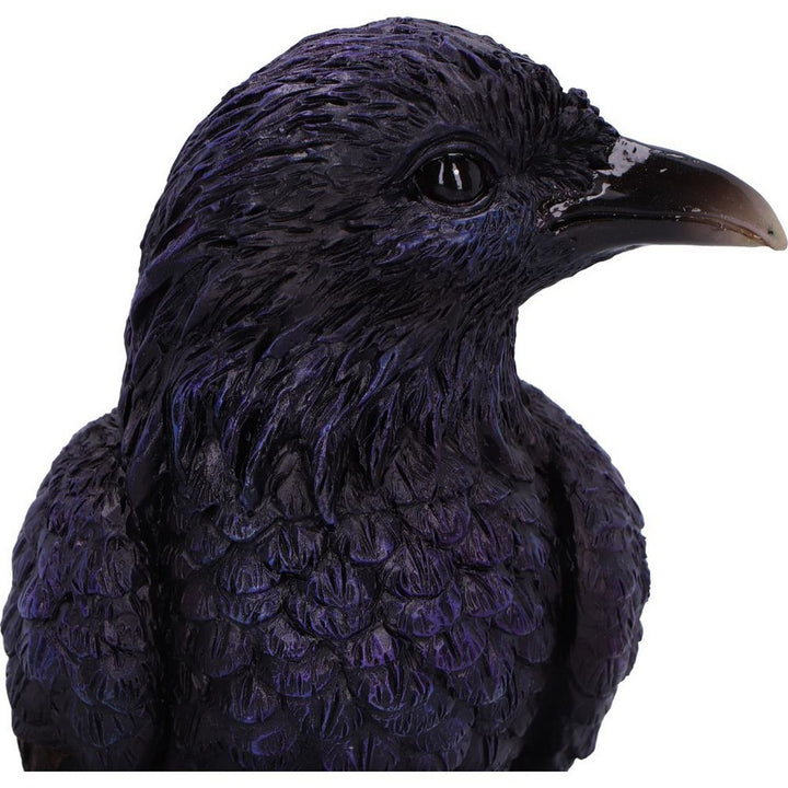 Raven Roost Backflow Incense Burner U7214C25