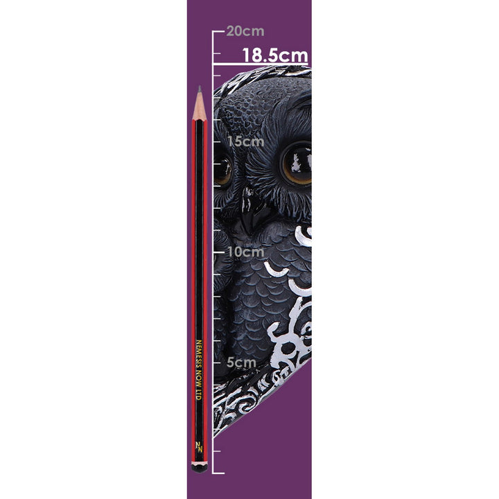 Twilight Trio Wall Hanger 18.5cm U7273C25