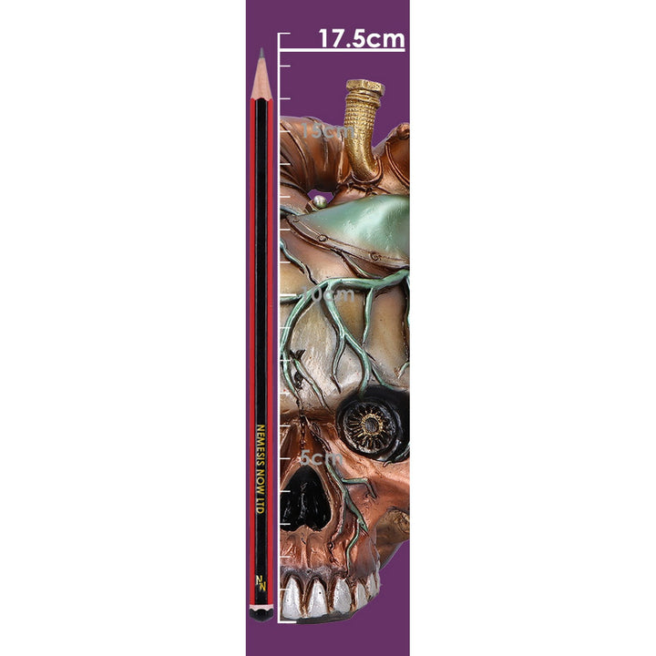 Cardiac Cranium Steampunk Skull 17.5cm U7274C25