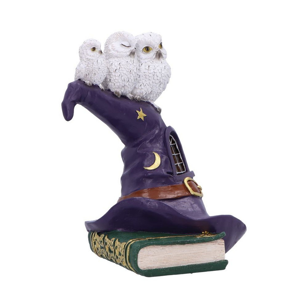 Owl Witch LED Hat Sculpture 18.3cm U7286C25