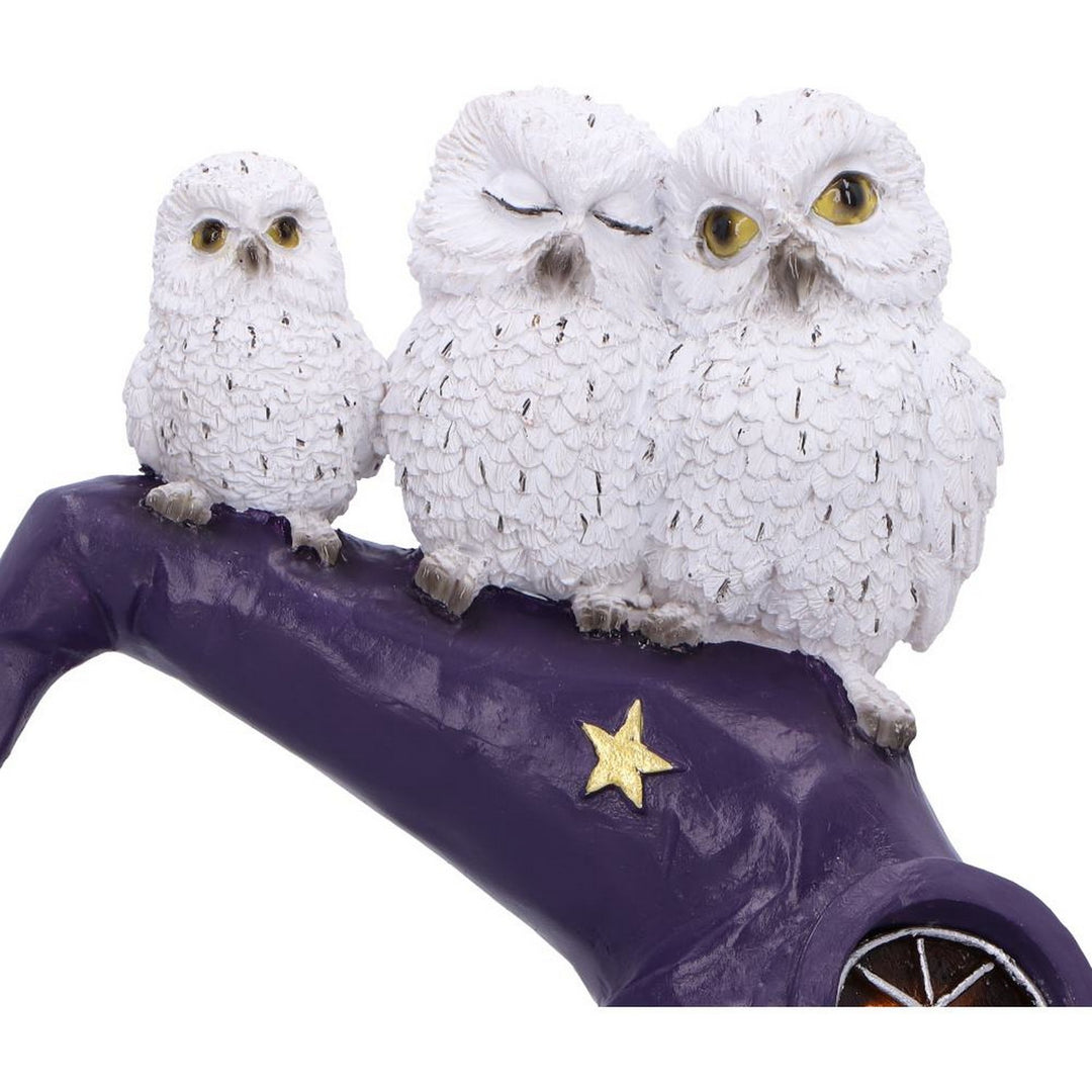 Owl Witch LED Hat Sculpture 18.3cm U7286C25