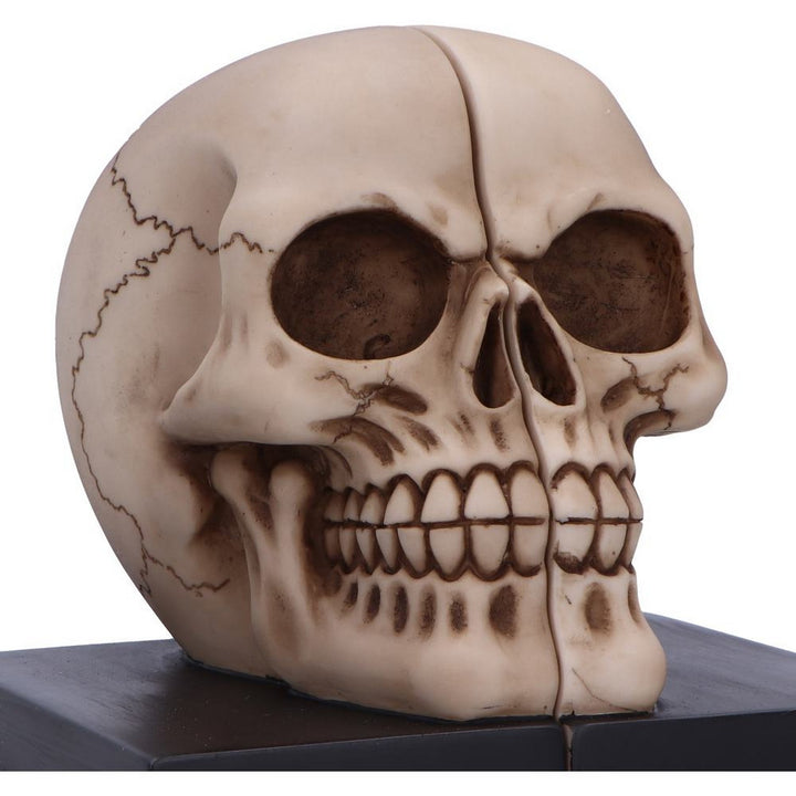 Final Chapter Skull Bookends 13.5cm U7292C25
