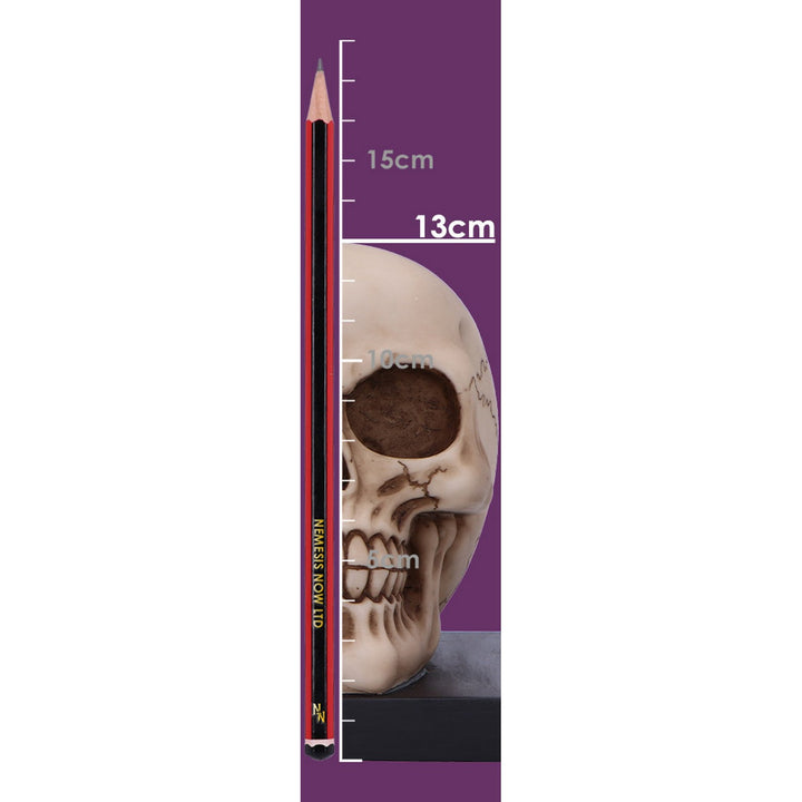 Final Chapter Skull Bookends 13.5cm U7292C25