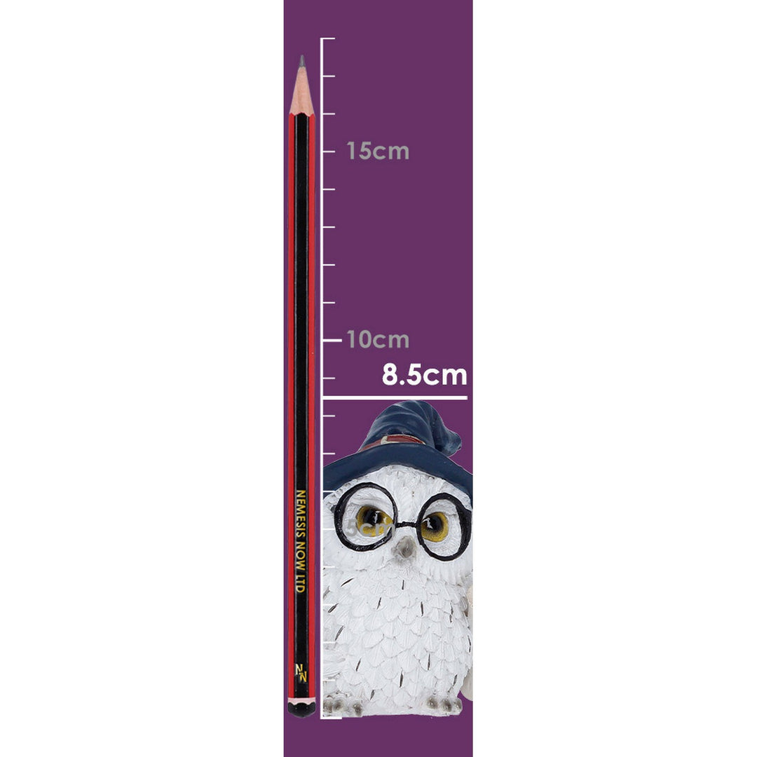 Archimedes Owl Figurine 7cm U7416A26