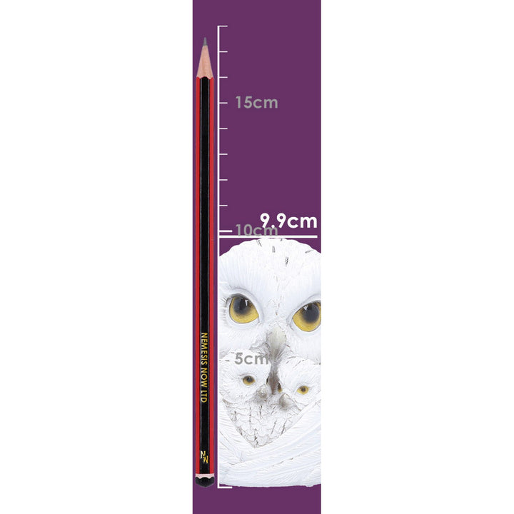 Feathered Nest Owl Figurne 10cm U7418A26