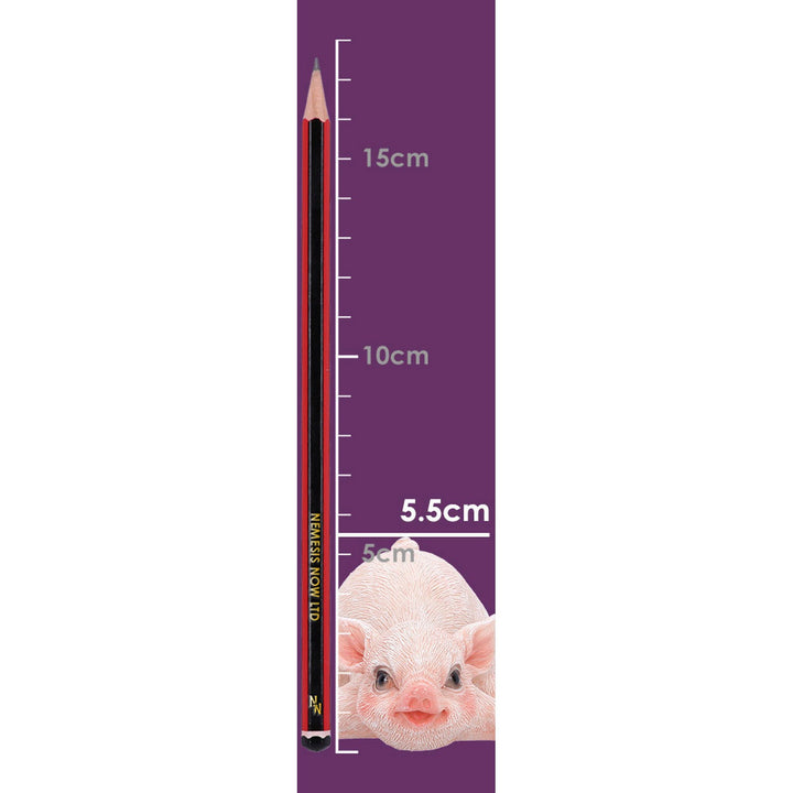 Truffle Mini Pig Figurine 5.5cm U7423A26