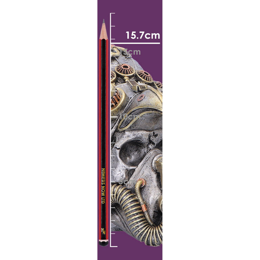 Steampunk Feather Skull 15.7cm U7560B26