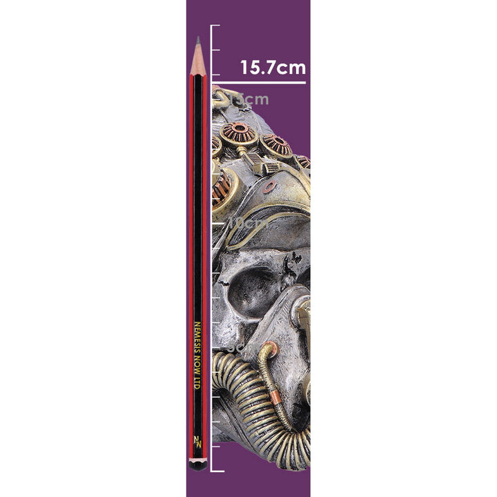 Steampunk Feather Skull 15.7cm U7560B26