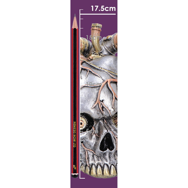Cardiac Cranium Steampunk Silver Skull 17.5cm U7561B26