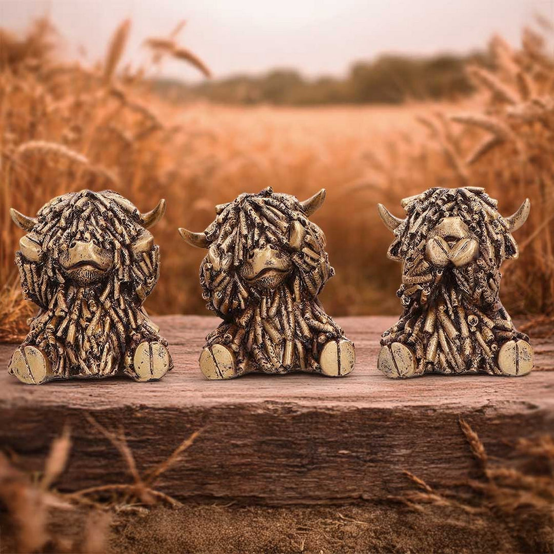 Three Wise Gold Highland Cows 7.5cm U7572B26