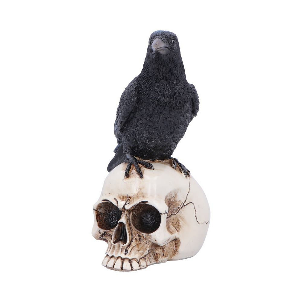 Raven Standing on Skull Figurine 19.5cm U7583B26