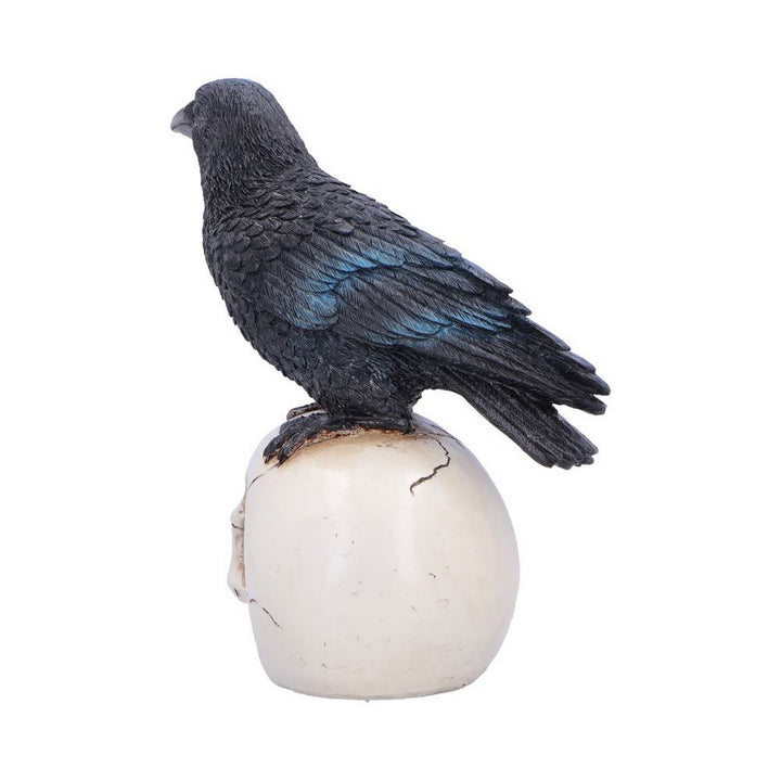 Raven Standing on Skull Figurine 19.5cm U7583B26