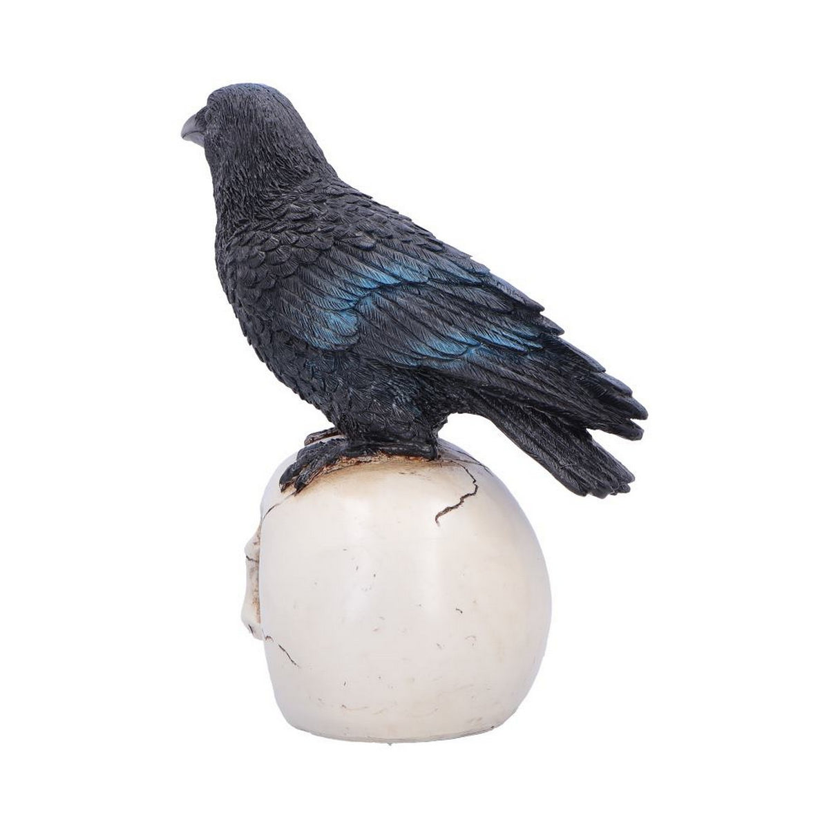 Raven Standing on Skull Figurine 19.5cm U7583B26