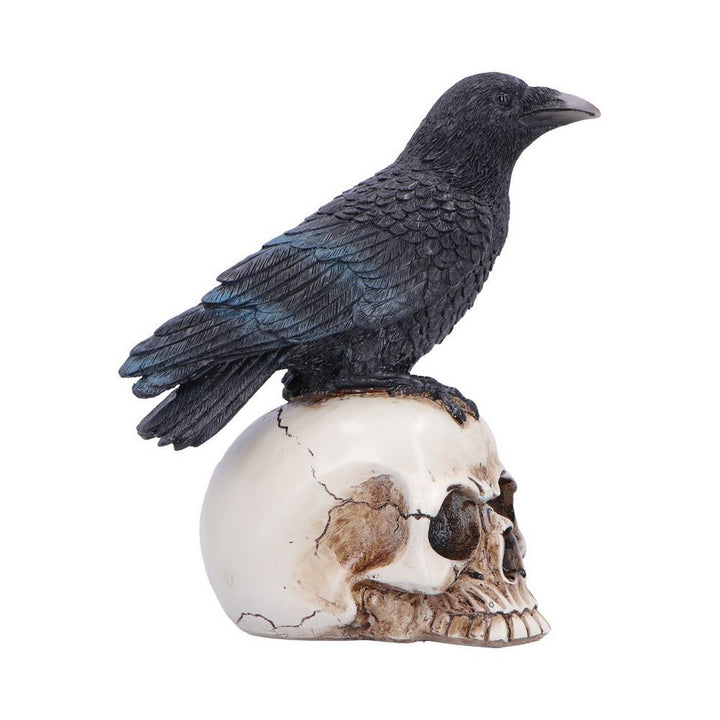 Raven Standing on Skull Figurine 19.5cm U7583B26