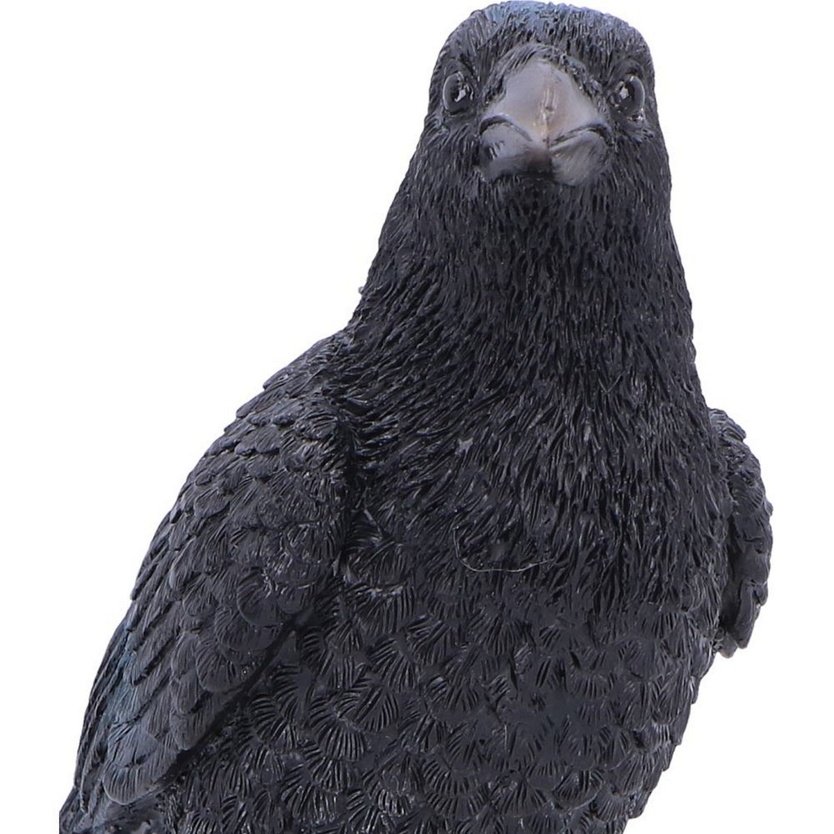 Raven Standing on Skull Figurine 19.5cm U7583B26