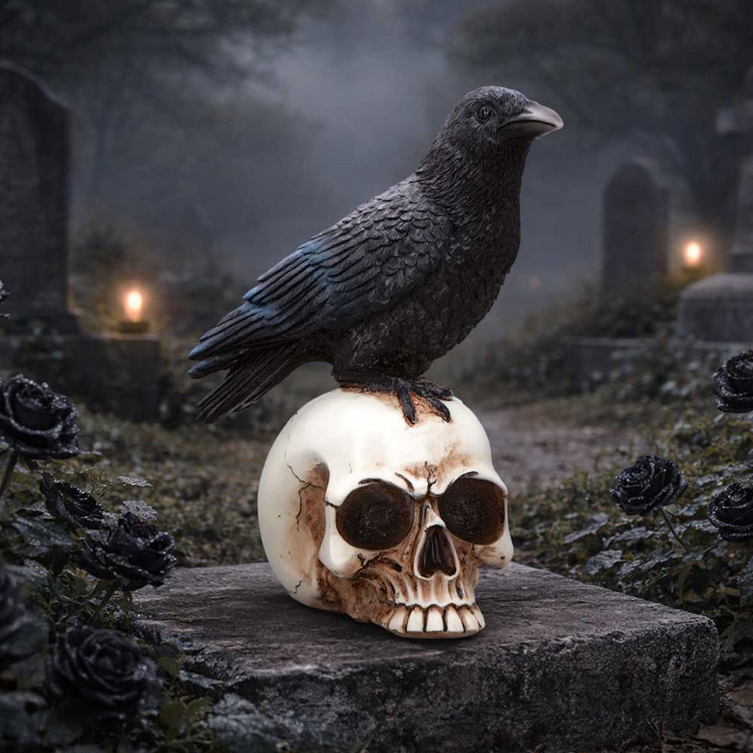 Raven Standing on Skull Figurine 19.5cm U7583B26