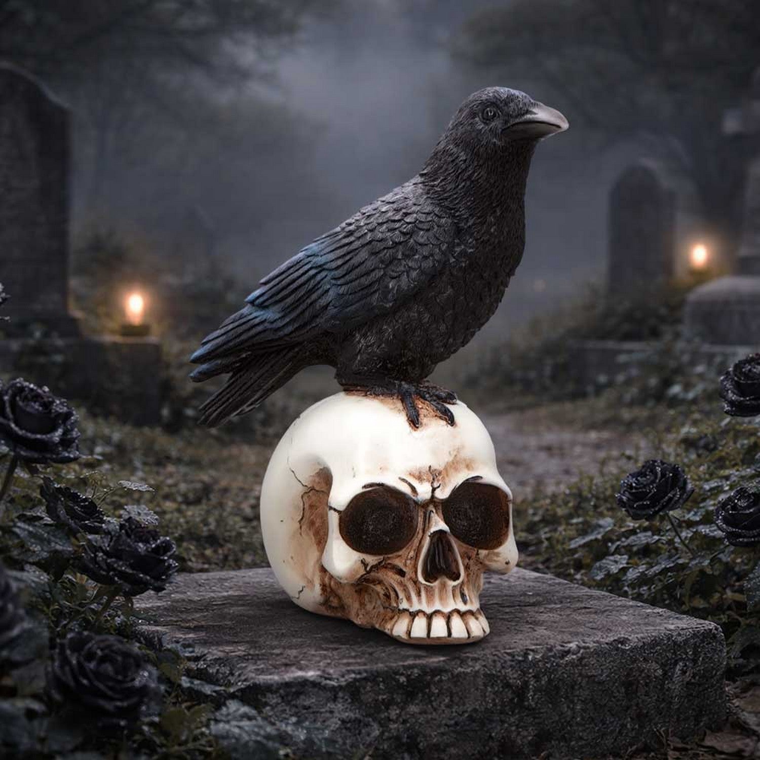 Raven Standing on Skull Figurine 19.5cm U7583B26