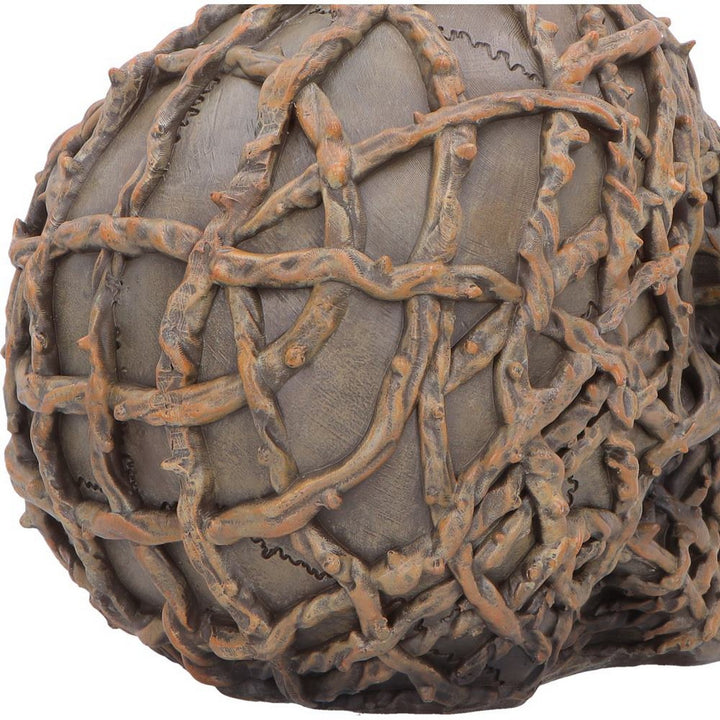 Rooted Vine Skull LED Figurine 15.8cm U7584B26