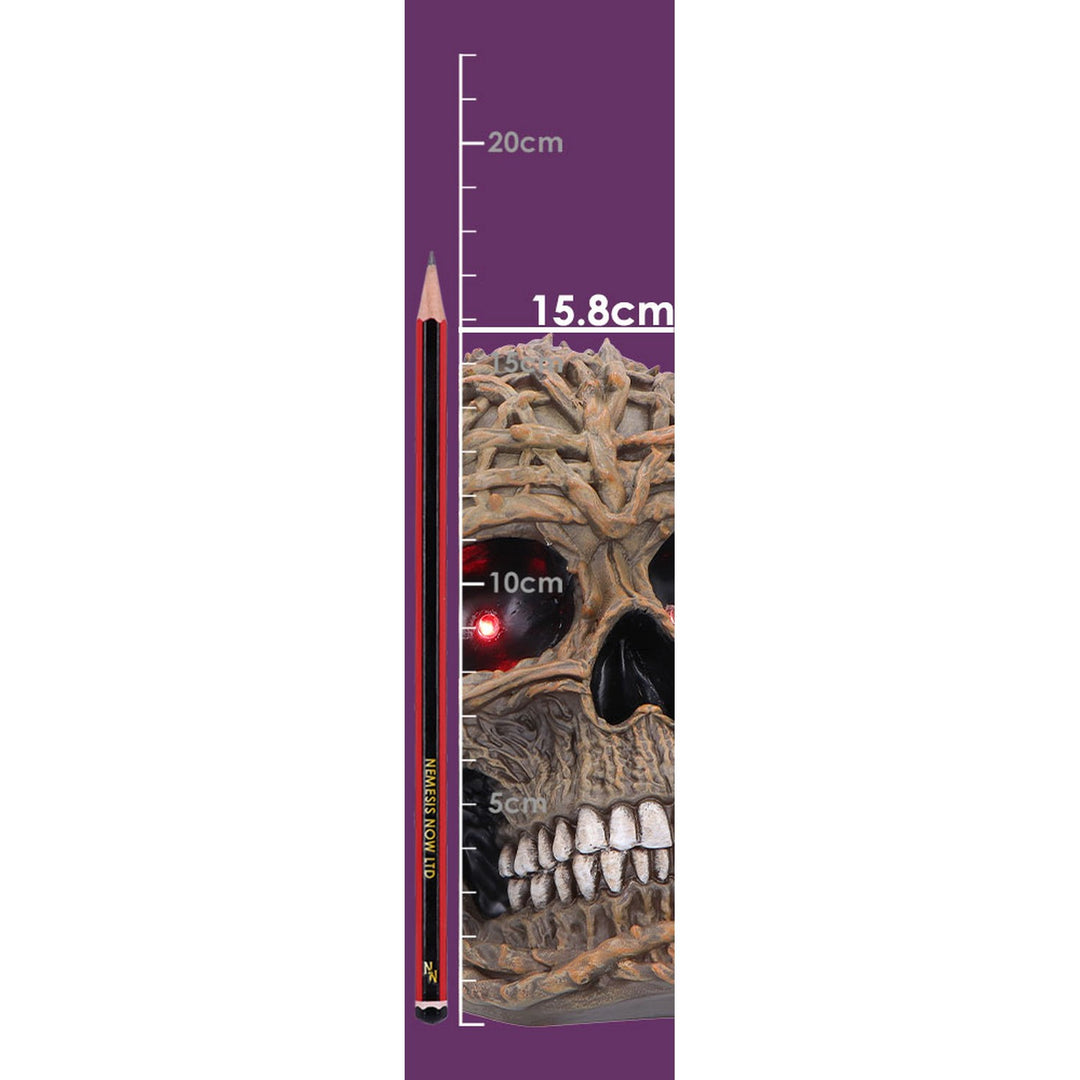 Rooted Vine Skull LED Figurine 15.8cm U7584B26