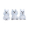 Three Wise Wolf Pups 9cm U7613B26