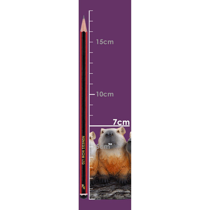 Capybara Herd Figurine 7cm U7616B26